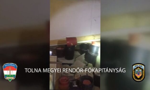 Pincében termesztették a kábítószert, mindent tagadnak