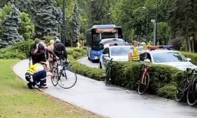 Megsérült az olimpiai bajnok, elütötte a busz a gyorskorcsolyázókat a Margitszigeten