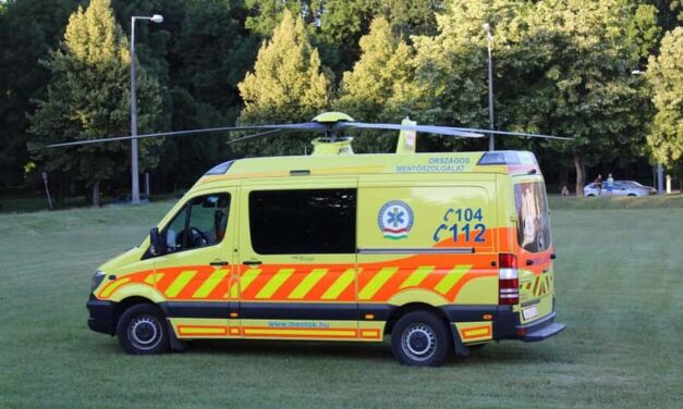 „Fel kell gyógyulnia az én kincsemnek” – megszólalt az az édesanya, akinek 3 éves kisfiát a család kutyái marcangolták szét, Sanyika életveszélyesen megsérült