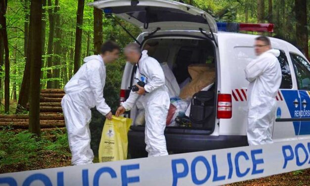 Megtalálták a napok óta eltűntként keresett 30 éves nő holttestét, Máriával élettársa végzett az út szélén