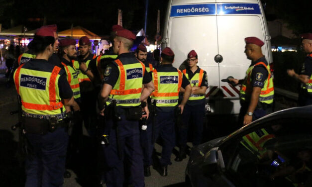 Razzia, igazoltatás, bírság: belepillantottak a százhalombattai éjszakába az érdi rendőrök