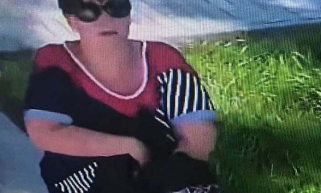 Gyermekfelügyeletre kérték a nőt, amit ő kissé túlteljesített és kerékpárlopás lett belőle