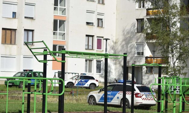 Kizuhant az ablakon egy férfi, aki ráesett egy babakocsit toló anyukára: mindketten meghaltak