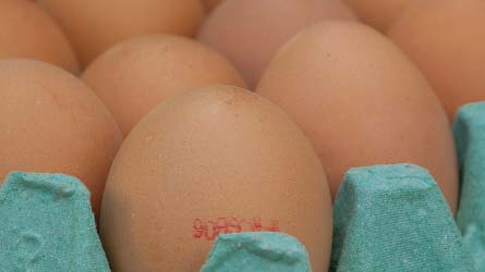 Szalmonella miatt tojásokat hívnak vissza a Lidl és az Auchan üzleteiből