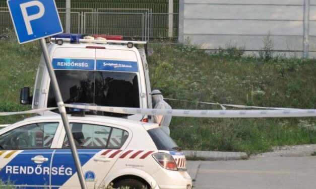 Hazugsággal vette rá a gyilkosokat az emberölésre a rafkós asszony Érden