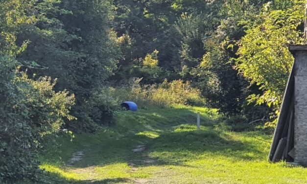 Sokkoló részletek a veszprémi tragédiáról: kos végzett az 57 éves nővel, a család összeomlott