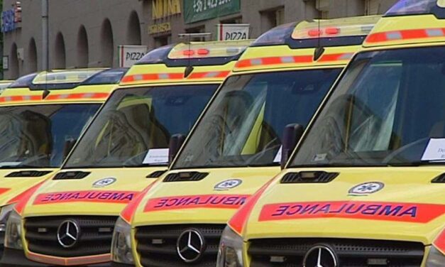 „Ki kell rúgni az ilyeneket” – szirénázó mentőautó ijesztett meg egy kutyát a Margitszigeten, a gazdája panaszlevelet írt Mentőszolgálatnak