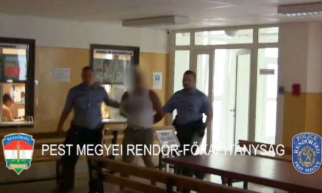 Videóval – Sorozatbetörőt fogtak el a rendőrök Gödöllőn, aki, lakásokból, boltokból és autókból is lopott