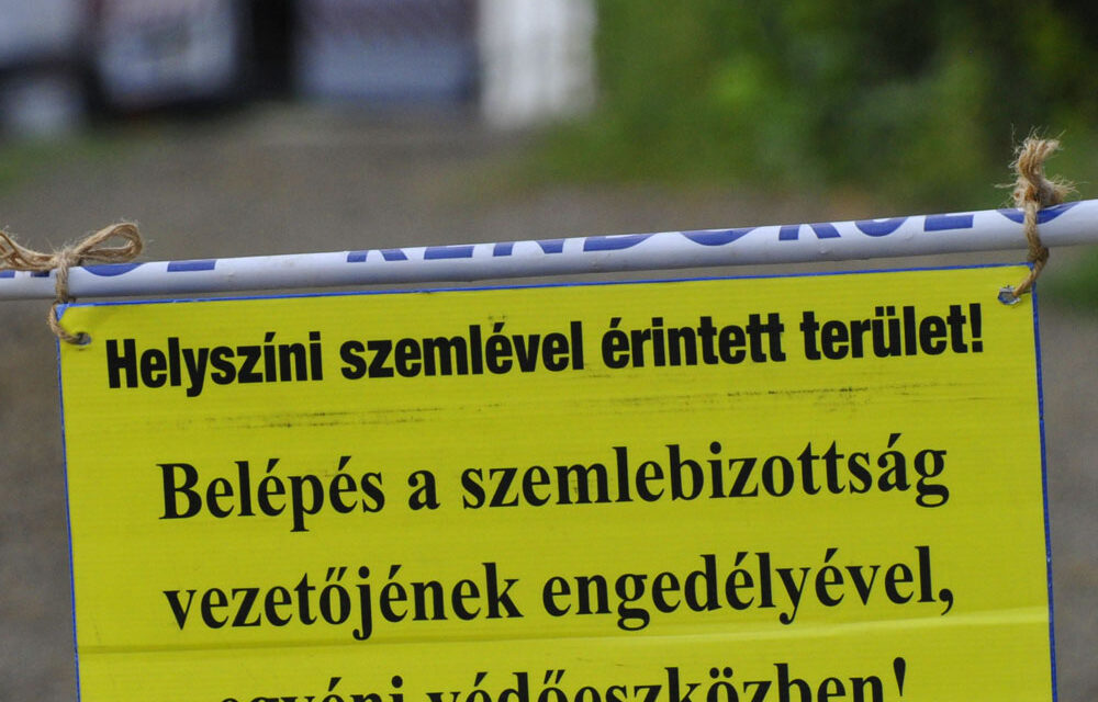 Kegyetlen gyilkosság történt Csornán, a rendőrség hajtóvadászatot indított az elkövető után