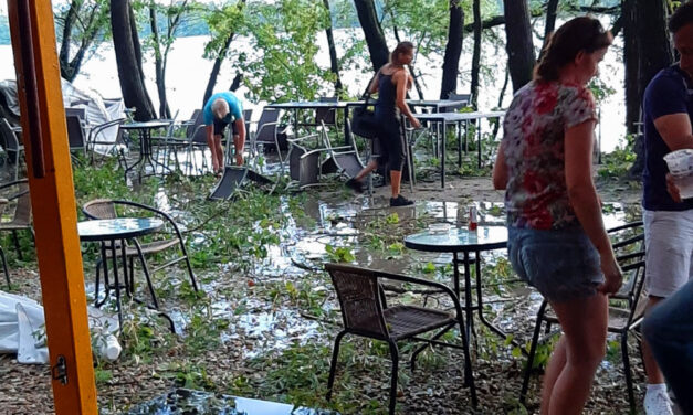 Újraélesztették az édesanyát, mert rázuhant egy 300 kilós faág Dunakeszin a viharban