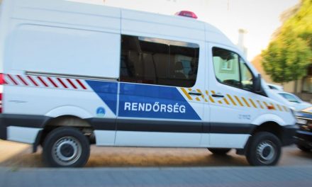 „Hallottam a 9 hónapos testvérem sírását” – megszólalt a tárnoki családirtás túlélője, 24 évvel a bűncselekmény után sem kerültek elő a holttestek