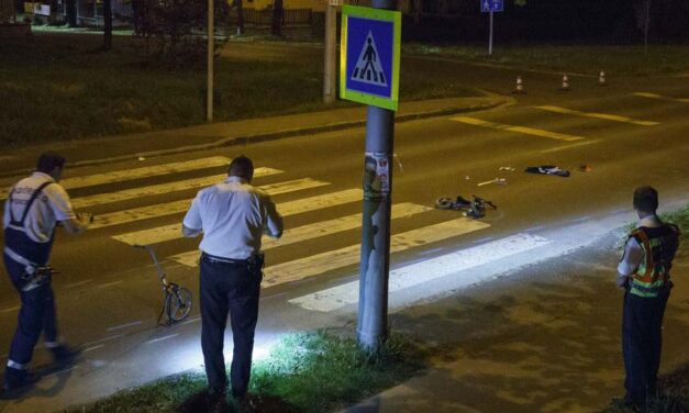 „Az sem volt biztos, hogy megéli a holnapot” – édesanyját és 4 éves fiát gázolta el egy felelőtlen sofőr a zebrán, az autós segítségnyújtás nélkül továbbhajtott