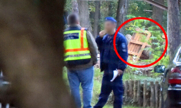 Meghalt egy fiú a gyöngyösfalui kalandparkban, ketten is felelősek a tragédiáért