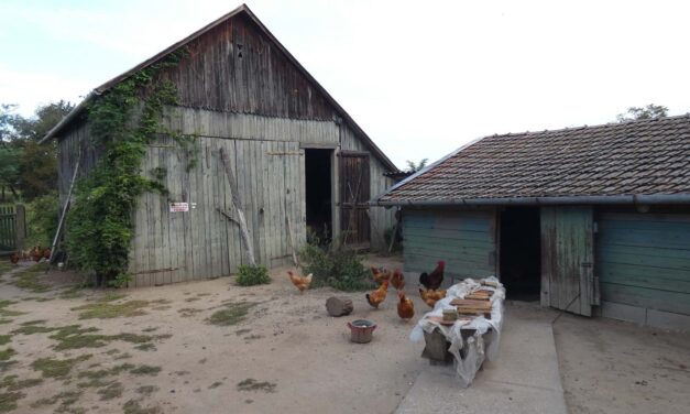 Kirabolta, majd a csűrbe zárta a 83 éves férfit egy kiskorú: az idős férfit a szomszédja szabadította ki