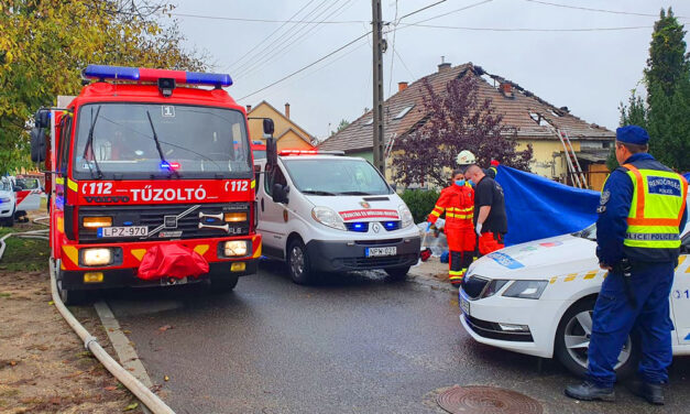 Tűzhalál Dunakeszin! Kigyulladt egy ház, a benne élő testvérpár egyik tagja nem élte túl a perzselő lángokat