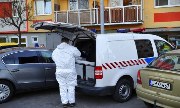 A fürdőkádban végzett egyéves kislányával az asszony: elmeállapota miatt felmentette a bíróság