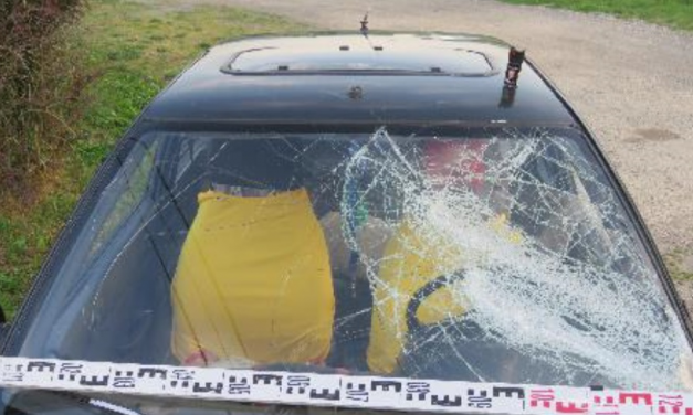 Vasbottal kezdték el verni haragosuk autóját, egy család Balatonszárszón vadult meg