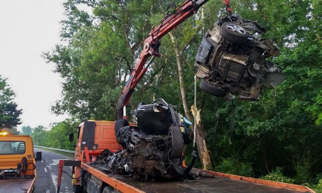 Orra állt autó és dzsungel a budai főúton – 2020 legfurcsább balesetei Magyarországon