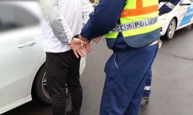 Légpuskával végezhetett szomszédja kutyájával a 16 éves fiú, elfogták a rendőrök