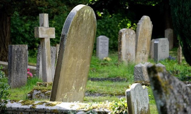 Bonyolódik az ügy a szentendrei halottasház körül: rémhírterjesztés miatt indult eljárás