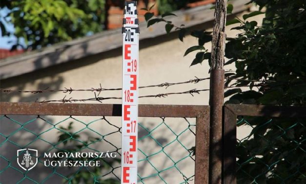 Rendőrök elől menekülve összetörte lopott autóját egy bácsalmási sorozattolvaj: az ügyészség fegyházbüntetést kért a többszörös visszaesőre