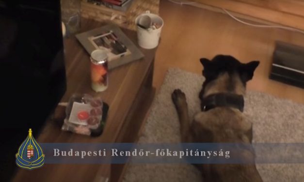 Nagypályás heroinkereskedők ellen emeltek vádat: a dílereknél több mint 80 millió forintnyi kábítószer volt