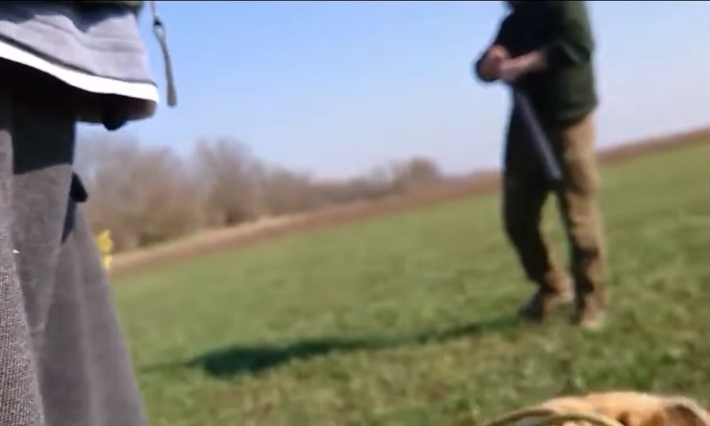 „Agyonlőlek a kutyáddal együtt!” – üvöltötte töltött puskájával a vadőr egy kutyasétáltató férfinak – videó