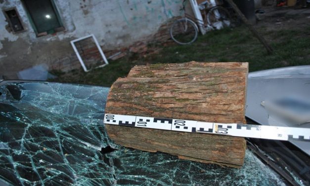 Káosz egy endrőci családi ház udvarán: fejszével, kaszával, botokkal estek egymásnak a vitázó felek – fotók