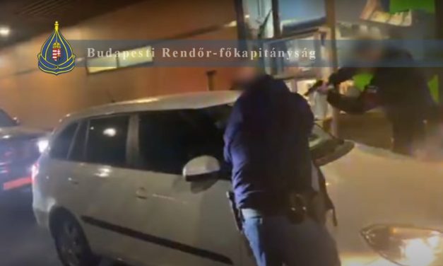 Rendőrkézen a fóti drogdíler: fél kiló tiltott árut és lőszereket foglaltak le – videó