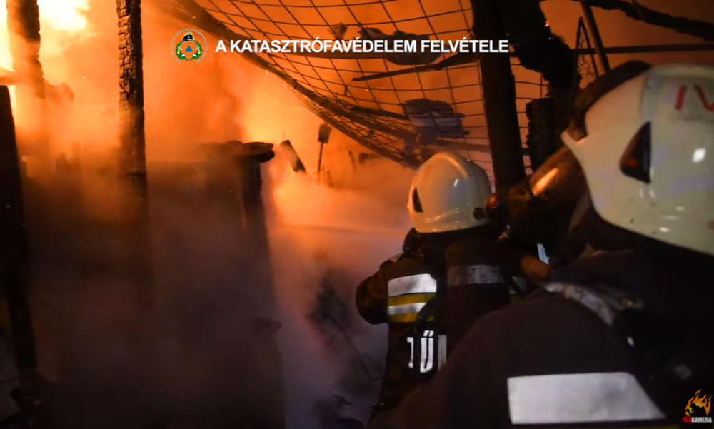 Lovakat mentettek egy tűzesetben Budapesten, a házban lévő gázpalackot a szomszéd utcában találták meg