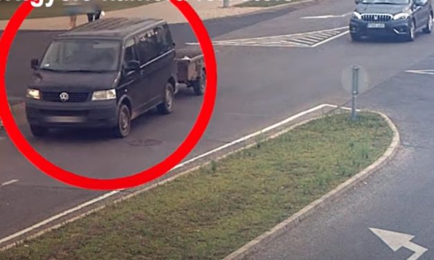 Kegyetlen brutalitás: lisztes zsákokba csomagolva szállított több kölyökkutyát és egy kecskét ez a férfi, az állatok kis híján elpusztultak – videó