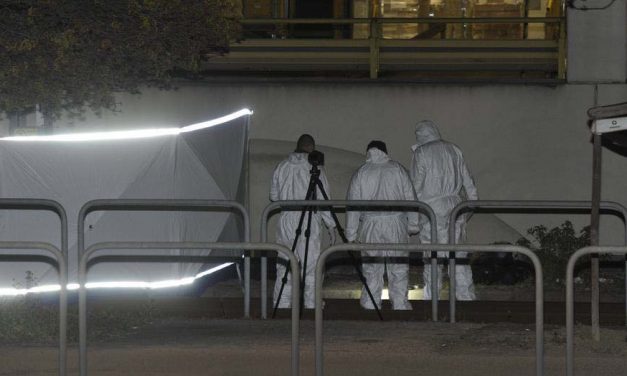 „Hagyd békén a kiskutyámat!” – egy törpepincsi miatt támadták meg a 25 éves férfit Budapesten, Gábor életét már nem lehetett megmenteni