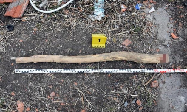 Brutális: nem tartott igényt rá, ezért karóval agyonverte a kutyáját egy férfi Bácsalmáson