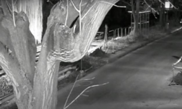 Videón, ahogy segítségnyújtás helyett lefotózta a 22. kerületi gödörbe zuhant férfit: a bajba jutott másnap reggelre meghalt