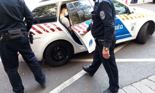 Gyermekjóléti szolgálat pszichológusa riasztotta a rendőrséget: egy ragadozó az interneten vadászott kislányokra, egyiküket sikerült is a bozótosba csalnia