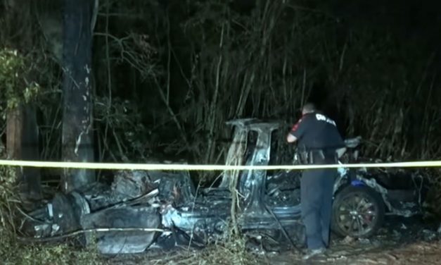 Két ember meghalt, amikor egy önvezető módra kapcsolt Tesla fának csapódott és kigyulladt
