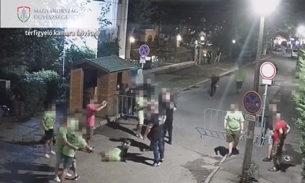 Biztonsági őrök verték össze a legénybúcsút ünneplő társaságot Siófokon – Videón a verekedés