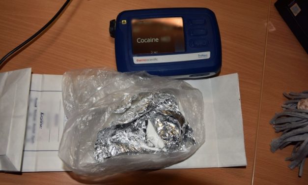 Kábítószer a hátizsákban, ültetvények a pincékben: Zalában is lebukott két díler