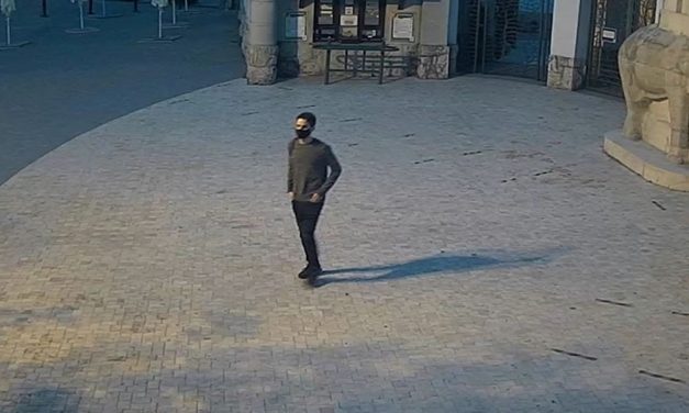 Lefújta az állatkert elefántszobrát: a rendőrség most őt keresi – fotó