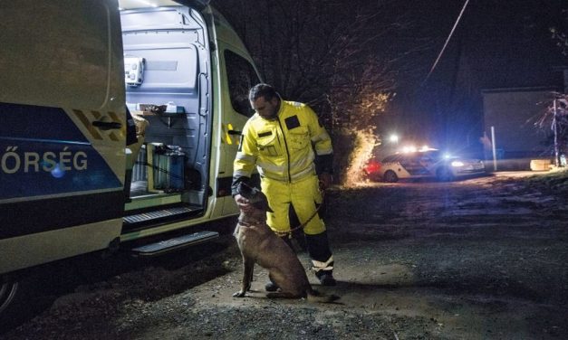 “Heteken át kutattuk, ahol csak lehetett, de már sejtettük, hogy Évikével valami szörnyűség történhetett” – 10 év börtönre ítélték a Pest megyei feleséggyilkost, aki egy pincében ásta el áldozatát