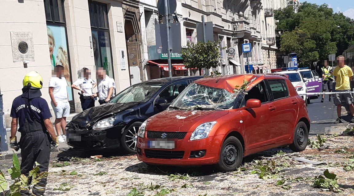 Kidőlt platánfa rongált meg több autót is Budapesten – Sokkoló képek a helyszínről