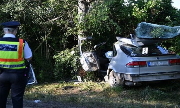 Fának csapódott egy autó Biatorbágy közelében, a budapesti utas a helyszínen életét vesztette