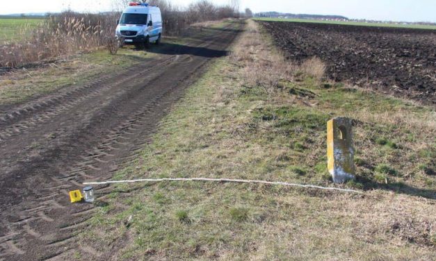 Megölte, feldarabolta, majd anyja segítségével elásta párja holttestét a jászladányi nő: most újabb bűncselekménnyel gyanúsítják az asszonyt