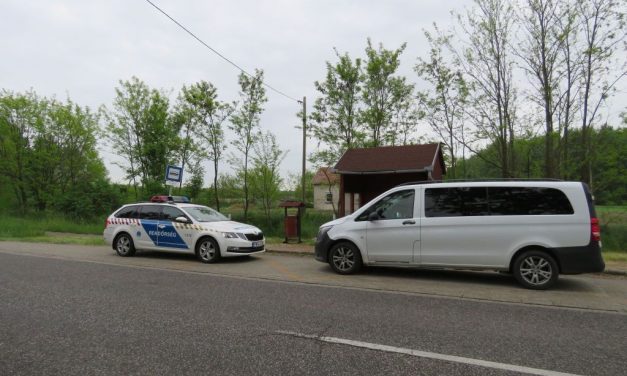 Borzalom Ópusztaszeren – Hat kiskutyával végzett ez a férfi – Zacskóba tette őket, majd a buszmegálló melletti szemetesbe dobta a piciket