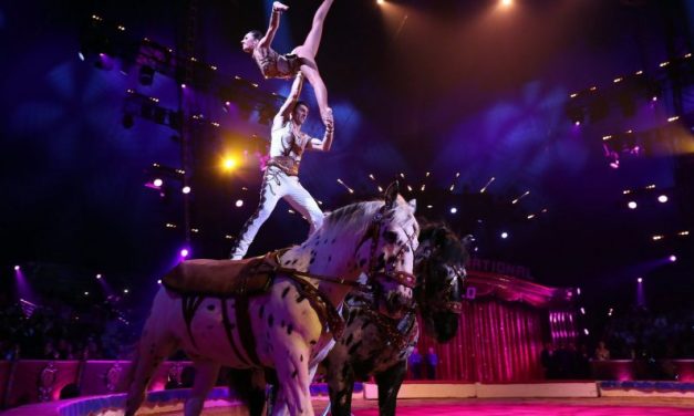 Ágyúból kilőtt artista sérült meg Zamárdiban vendégeskedő cirkuszban, a nézők bepánikoltak a baleset után