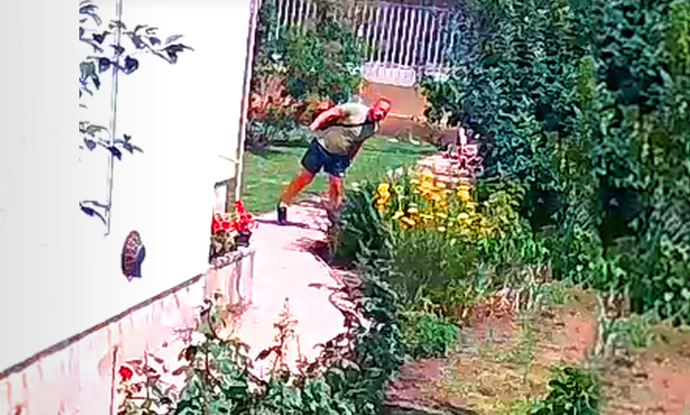 Pofátlan besurranó tolvajok vitték el a házaspár pénzét, amíg ők a kertben dolgoztak, itt a döbbenetes videó a lopásról