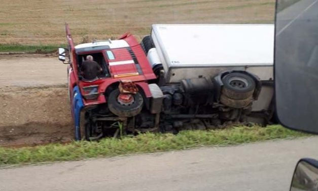 Több sertés is elpusztult, amikor felborult egy állatokat szállító kamion Somogy vármegyében