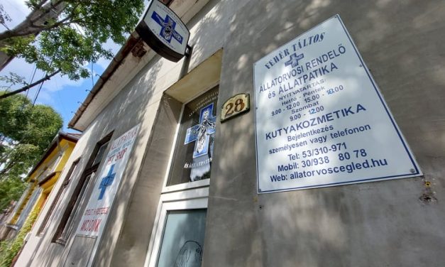 Tragédia: Véget vetett az életének a devizahitel miatt eladósodott ceglédi állatorvos