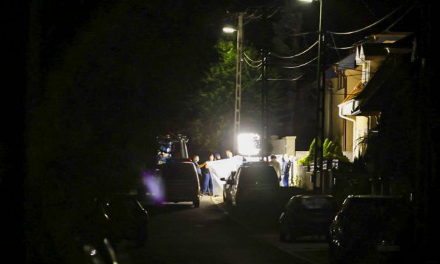 “Egyelőre azt sem tudom, mire gondoljak”- megszólalt a dunakeszi családirtó édesanyja