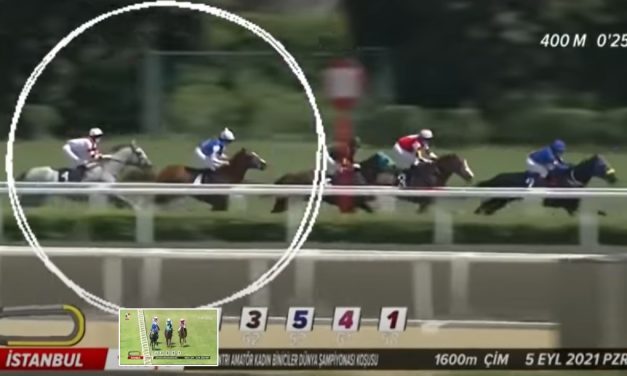 Videón a fiatal zsokélány végzetes balesete – Esztert egy egész ország és a lovastársadalom gyászolja